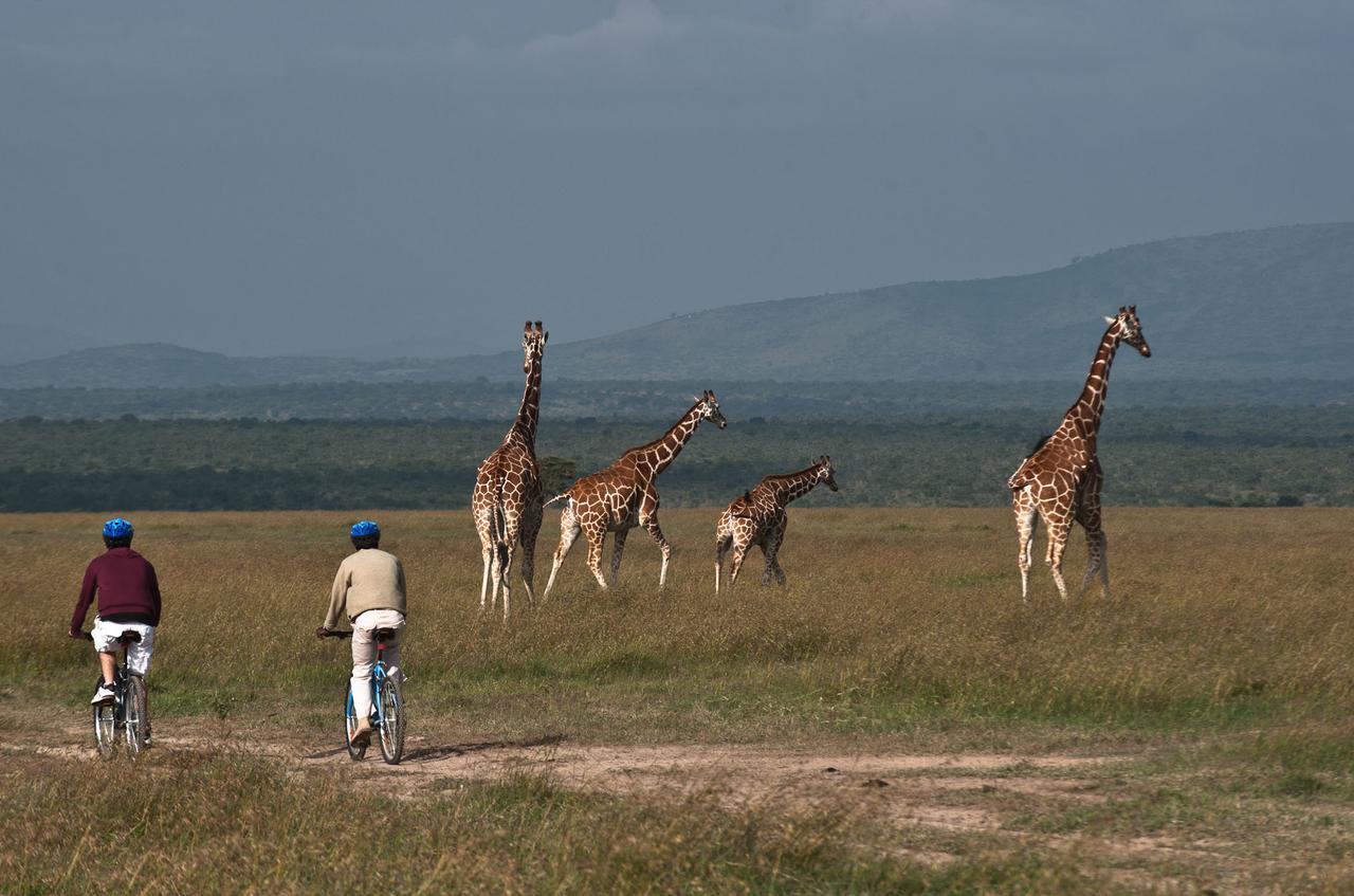 Kicheche Laikipia Camp Βίλα Ol Pejeta Conservancy Εξωτερικό φωτογραφία