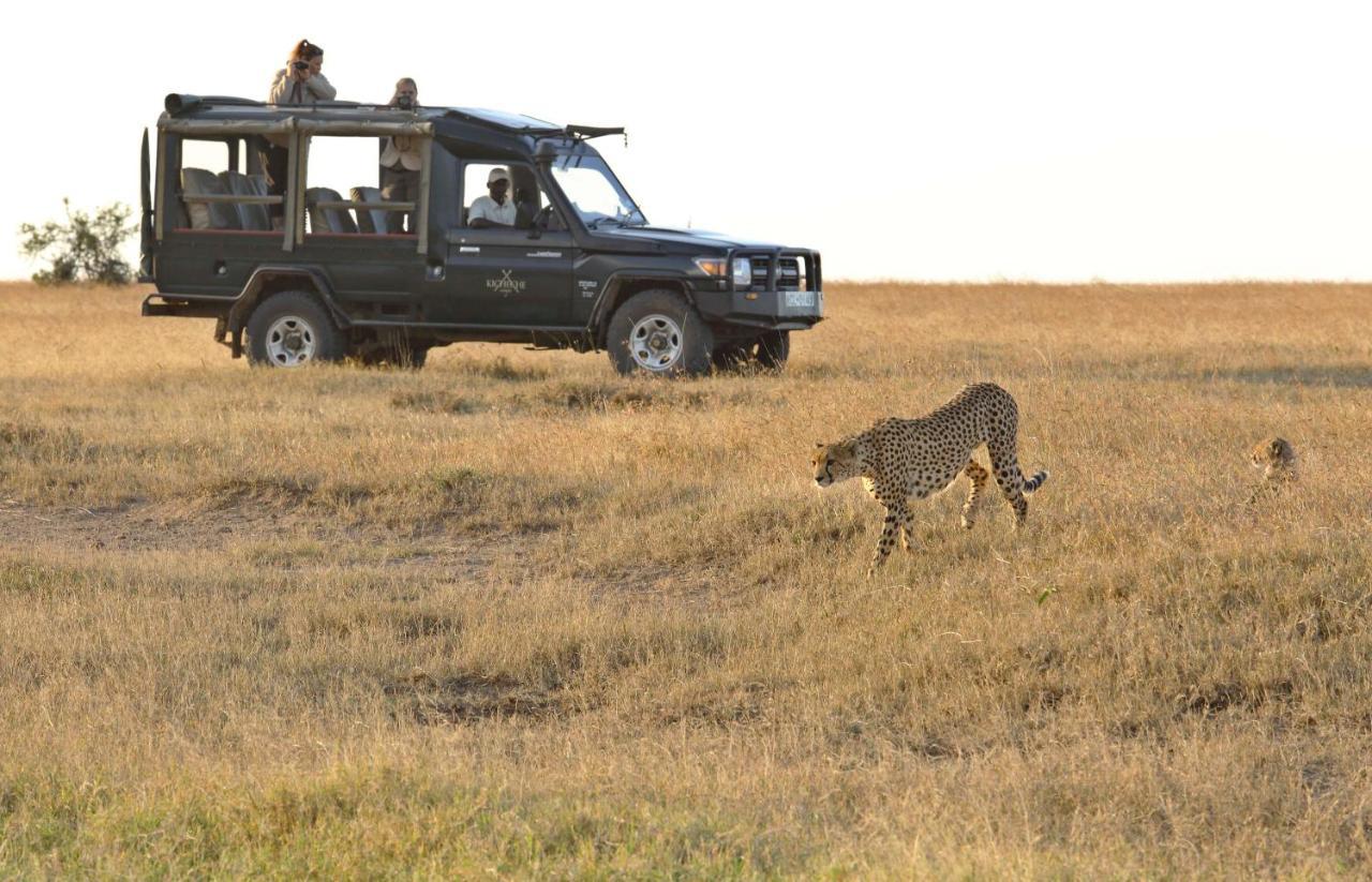 Kicheche Laikipia Camp Βίλα Ol Pejeta Conservancy Εξωτερικό φωτογραφία